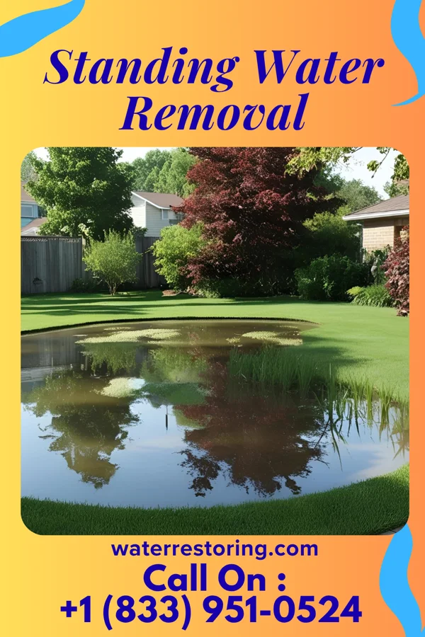 Standing Water Removal in Boyne Falls, MI